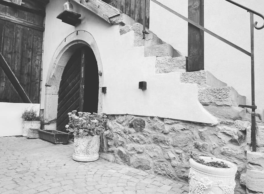 Gite Origin Gueberschwihr Extérieur photo