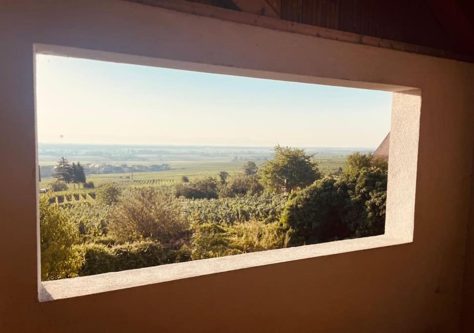 Gite Origin Gueberschwihr Extérieur photo
