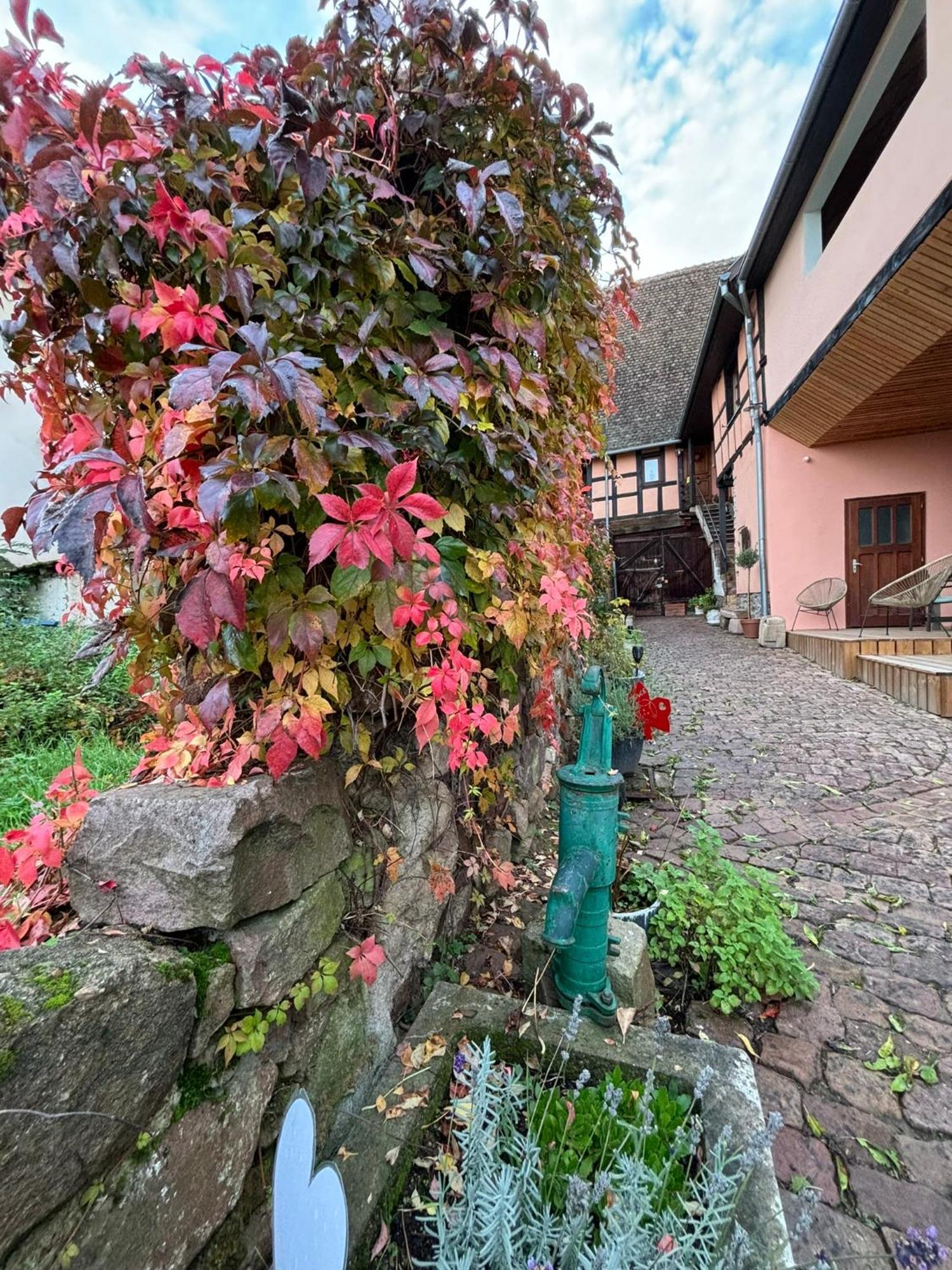 Gite Origin Gueberschwihr Extérieur photo